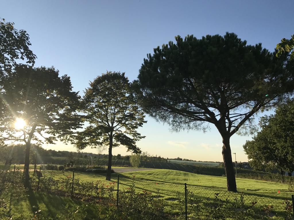 Agriturismo La Rinaldina Faenza Exterior photo