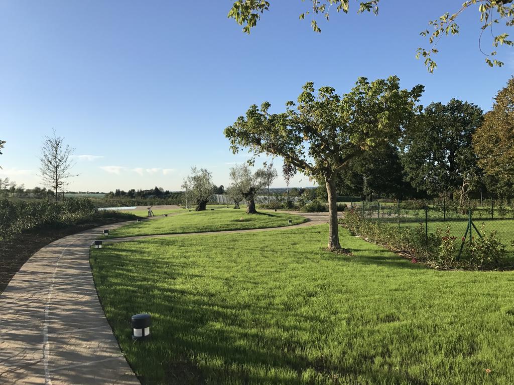 Agriturismo La Rinaldina Faenza Exterior photo