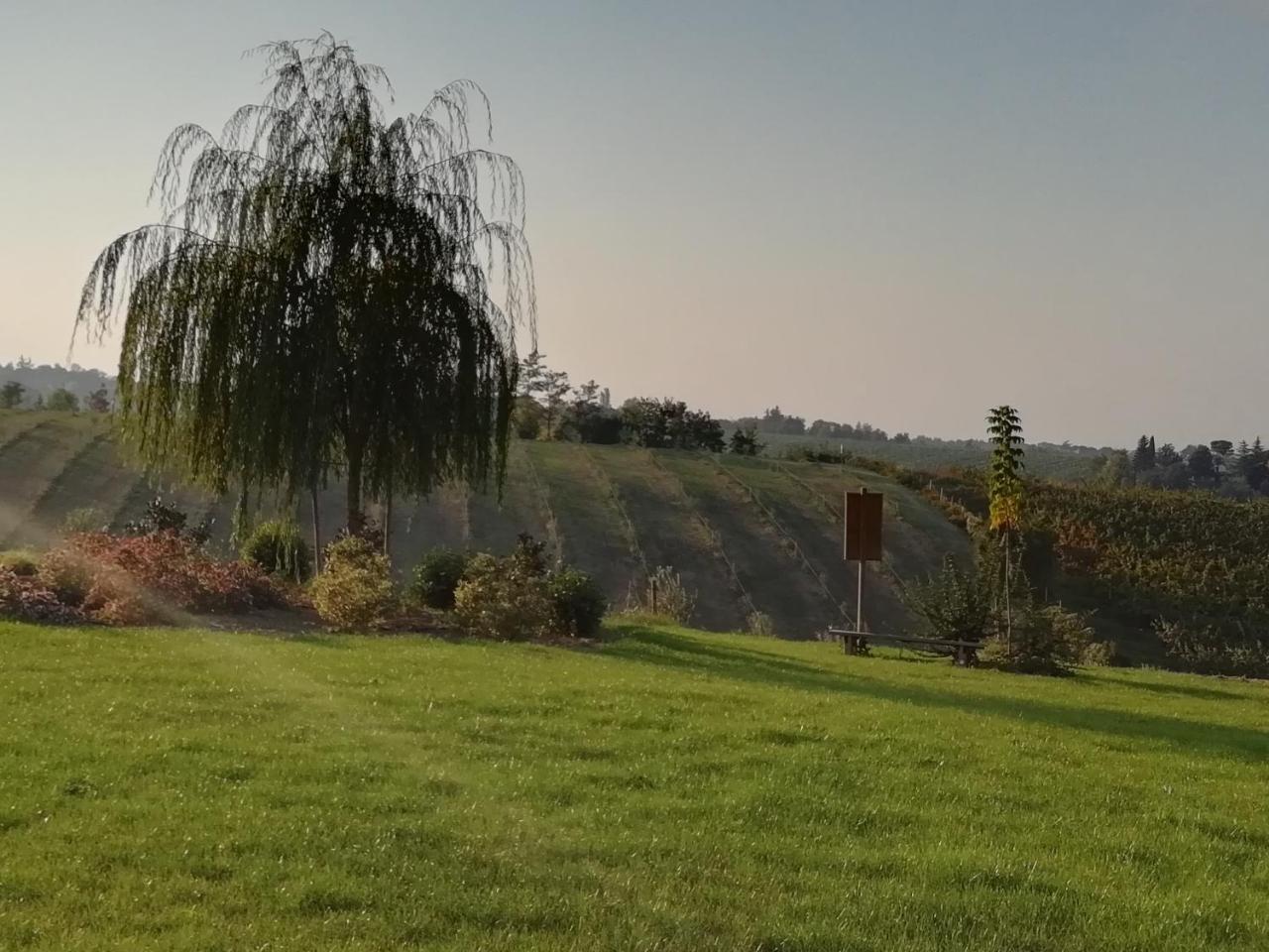 Agriturismo La Rinaldina Faenza Exterior photo